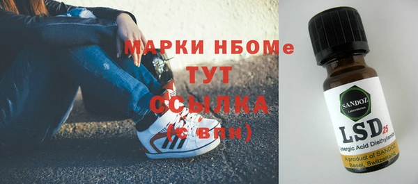 индика Кукмор