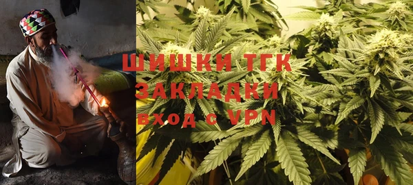 индика Кукмор