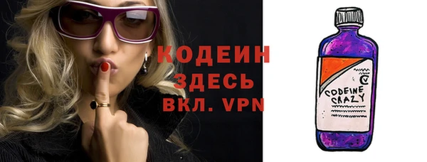 индика Кукмор