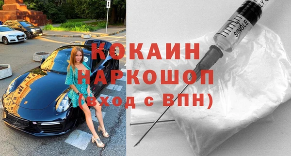 шишки Куйбышев