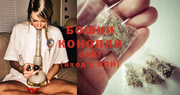 шишки Куйбышев