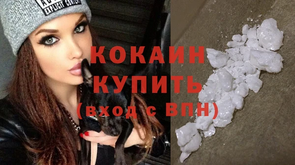 индика Кукмор