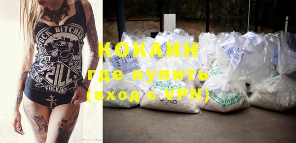 индика Кукмор