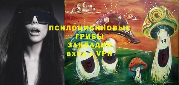 индика Кукмор