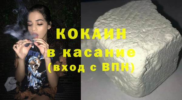 индика Кукмор