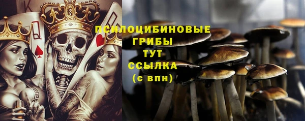 шишки Куйбышев