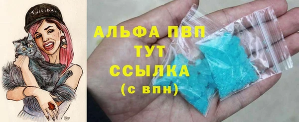 индика Кукмор