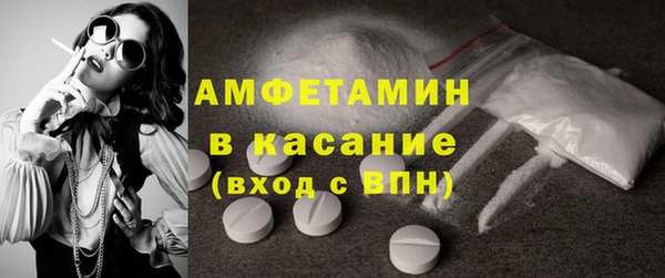 индика Кукмор