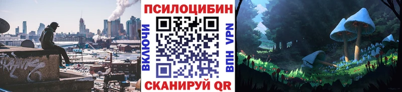 Купить  Новая Усмань  Псилоцибиновые грибы MAGIC MUSHROOMS 